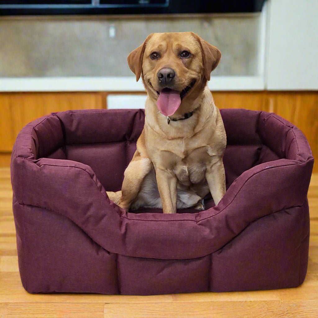 Country Dog Heavy Duty Rectangular High Sided Waterproof Dog Beds - Chartley Chucks