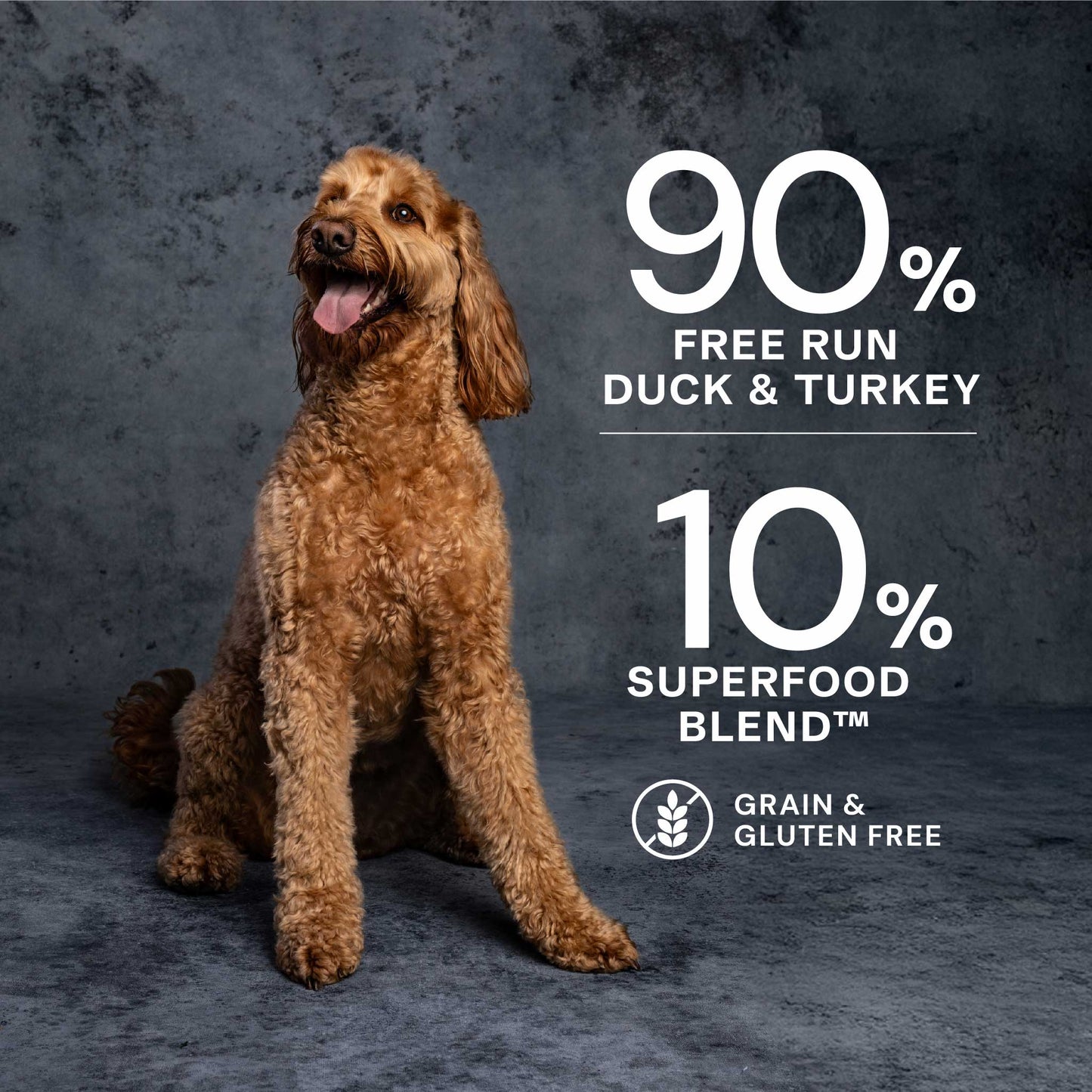 Duck & Turkey Wet Dog Food - Chartley Chucks