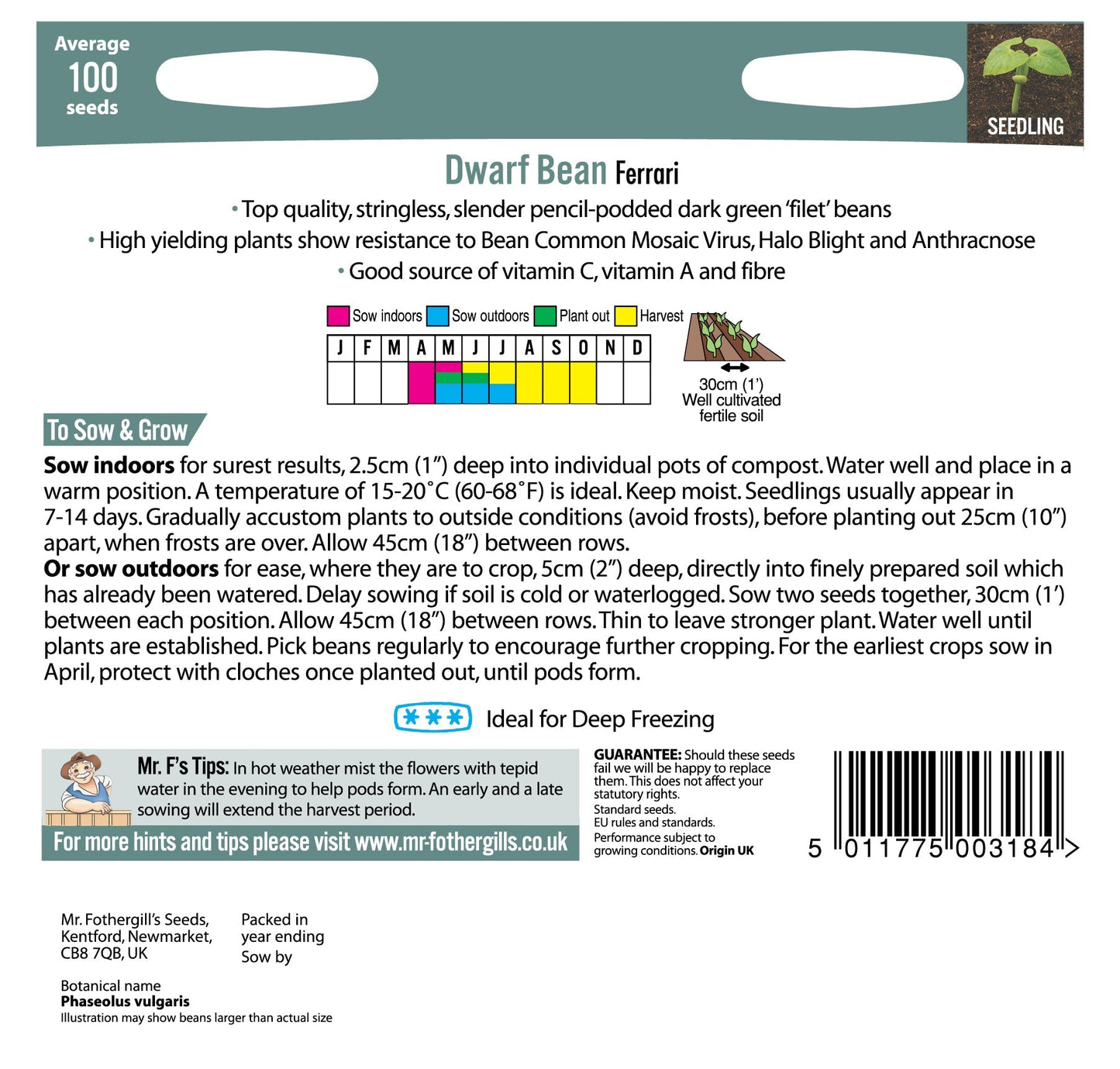 Dwarf French Bean Ferrari 100 Seeds - Chartley Chucks