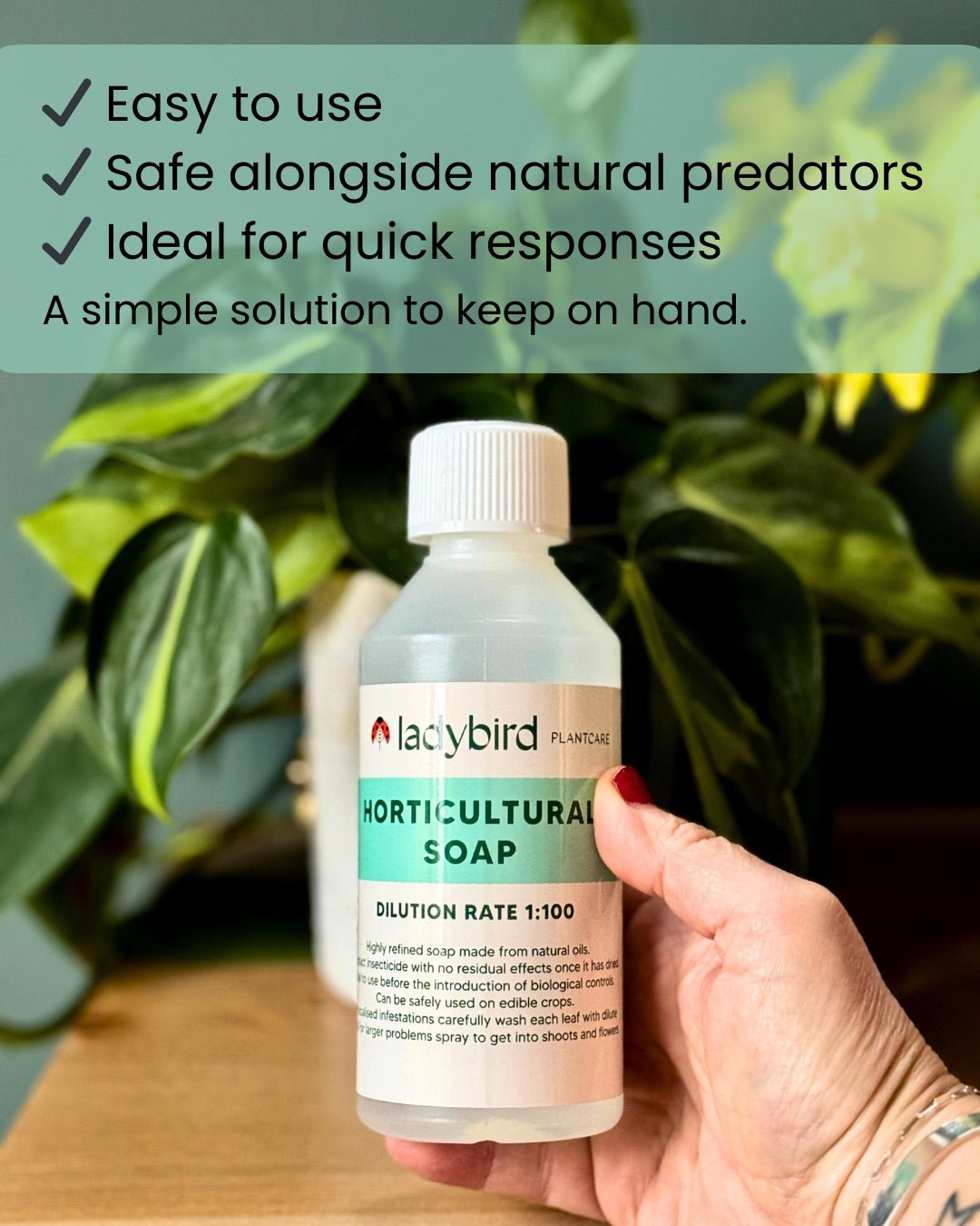 Horticultural Soap - Chartley Chucks