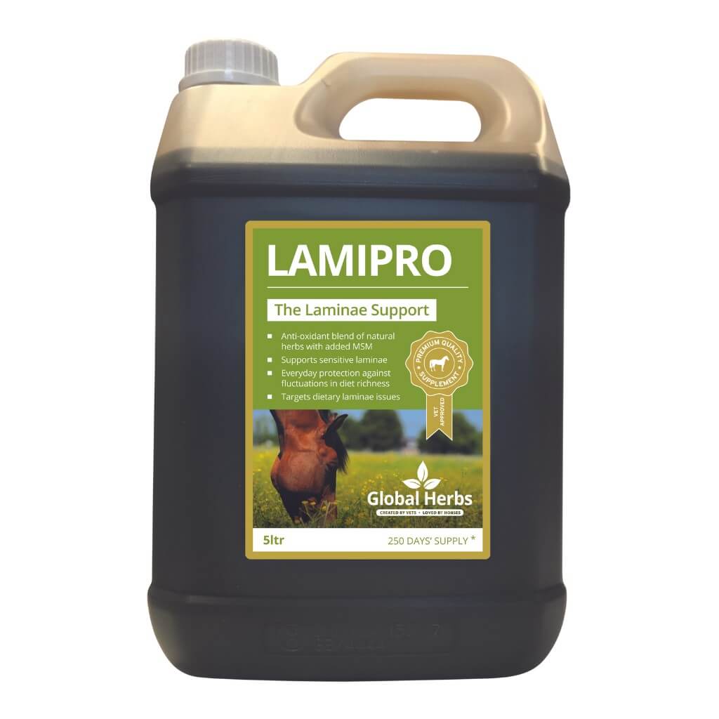 LamiPro liquid - Equine - Chartley Chucks