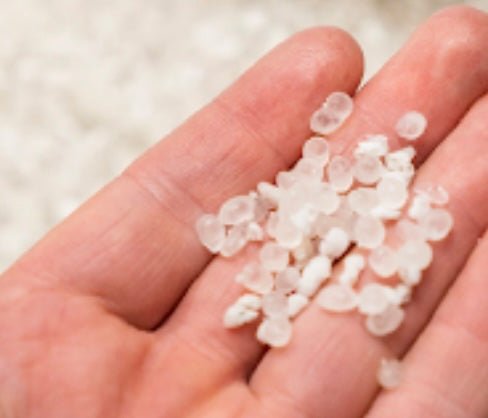 Nematode Slow Release Pearls for Fungus Gnats and Thrips pupae - Chartley Chucks