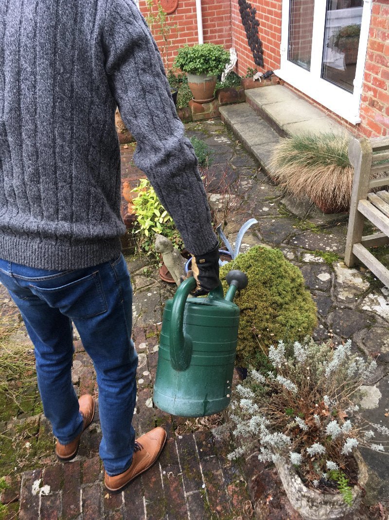 Slug Control Nematodes 100 sqm - Chartley Chucks