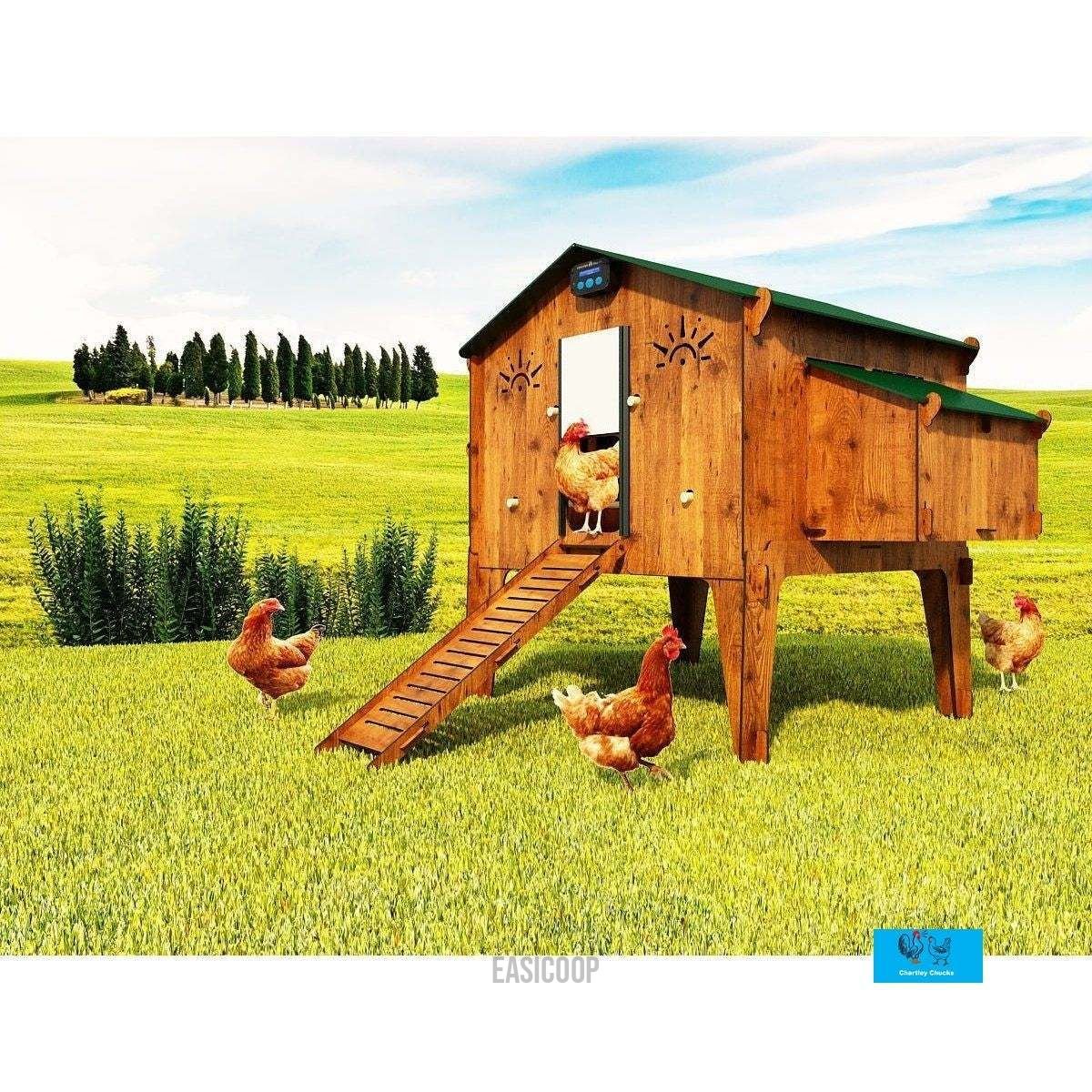 Easicoop Duplex 4XL - HPL Chicken house up to 20 large Birds - on legs - Chartley Chucks