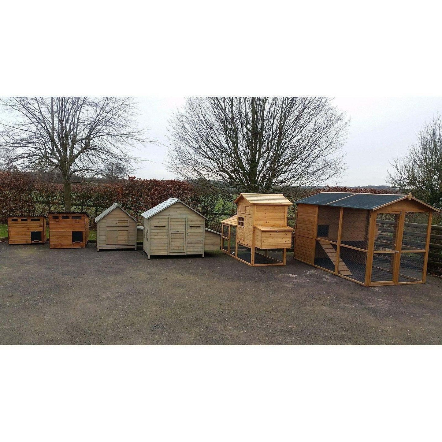 The Giant Villa Coop 6 - 12 Birds - Chartley Chucks
