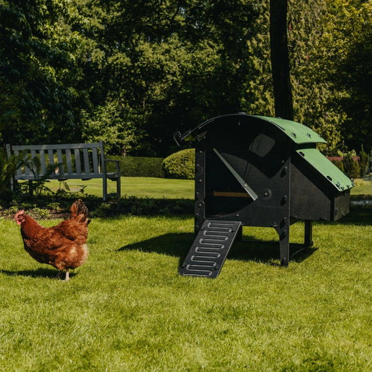 7 Best Chicken Coop Designs for Small Gardens - Chartley Chucks