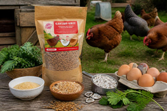 7 Natural Ways to Improve Egg Quality in Chickens - Chartley Chucks