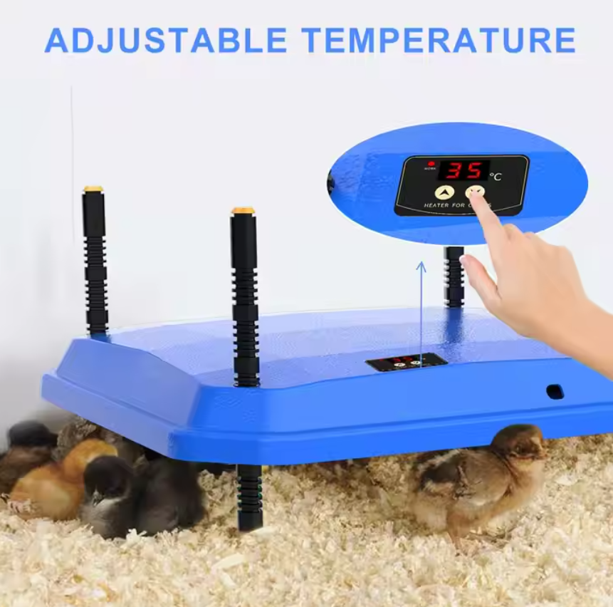 Extra Large Brooder Heating Plate (66W 40.7cmx61cm)