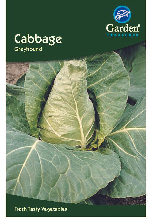 Cabbage Greyhound