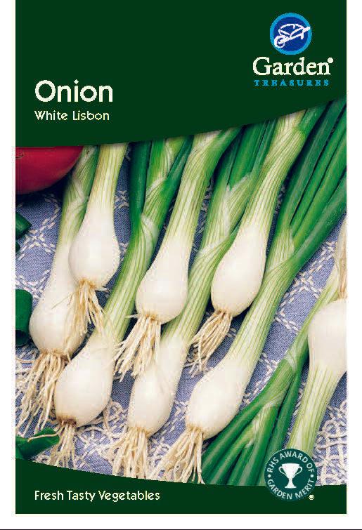 Onion White Lisbon