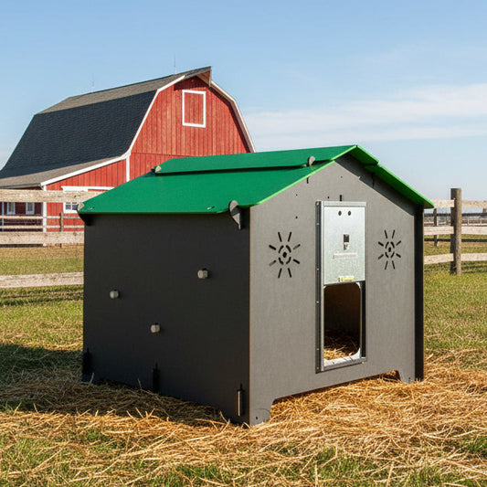 Easicoop Chalet 2XL - HPL Chicken Coop up to 18 large Birds (black)
