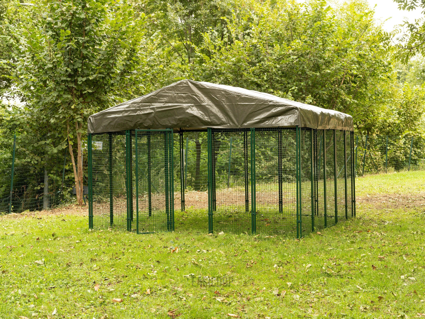 Easicoop 3m x 3m metal quality walk in Chicken run