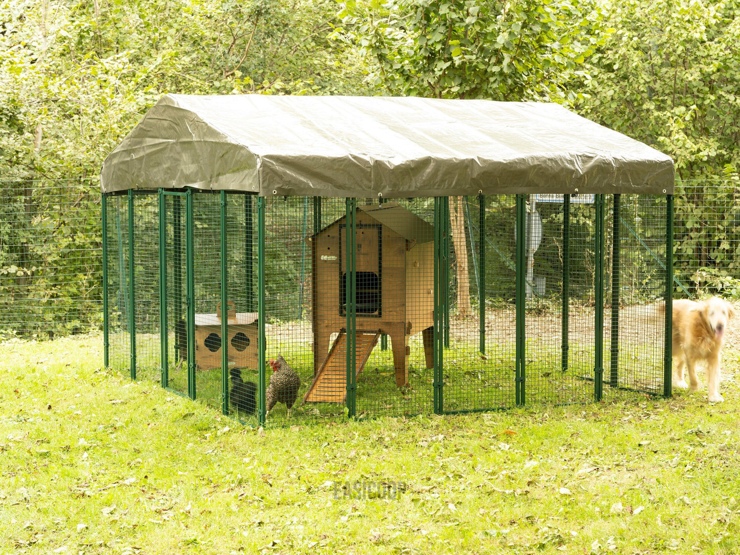 Easicoop 3m x 3m metal quality walk in Chicken run