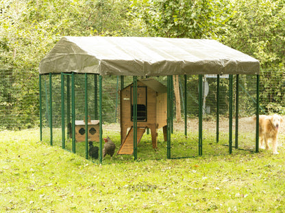 Easicoop 3m x 3m metal quality walk in Chicken run