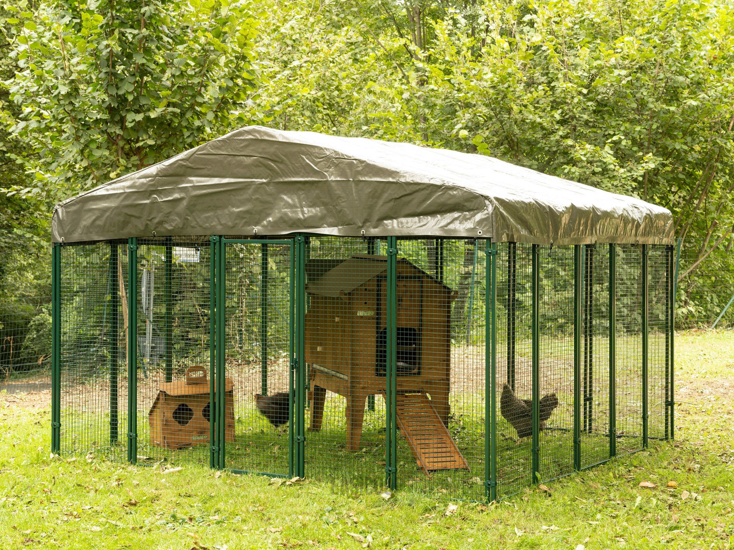 Easicoop 3m x 3m metal quality walk in Chicken run