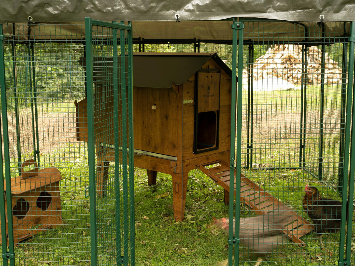 Easicoop 3m x 3m metal quality walk in Chicken run