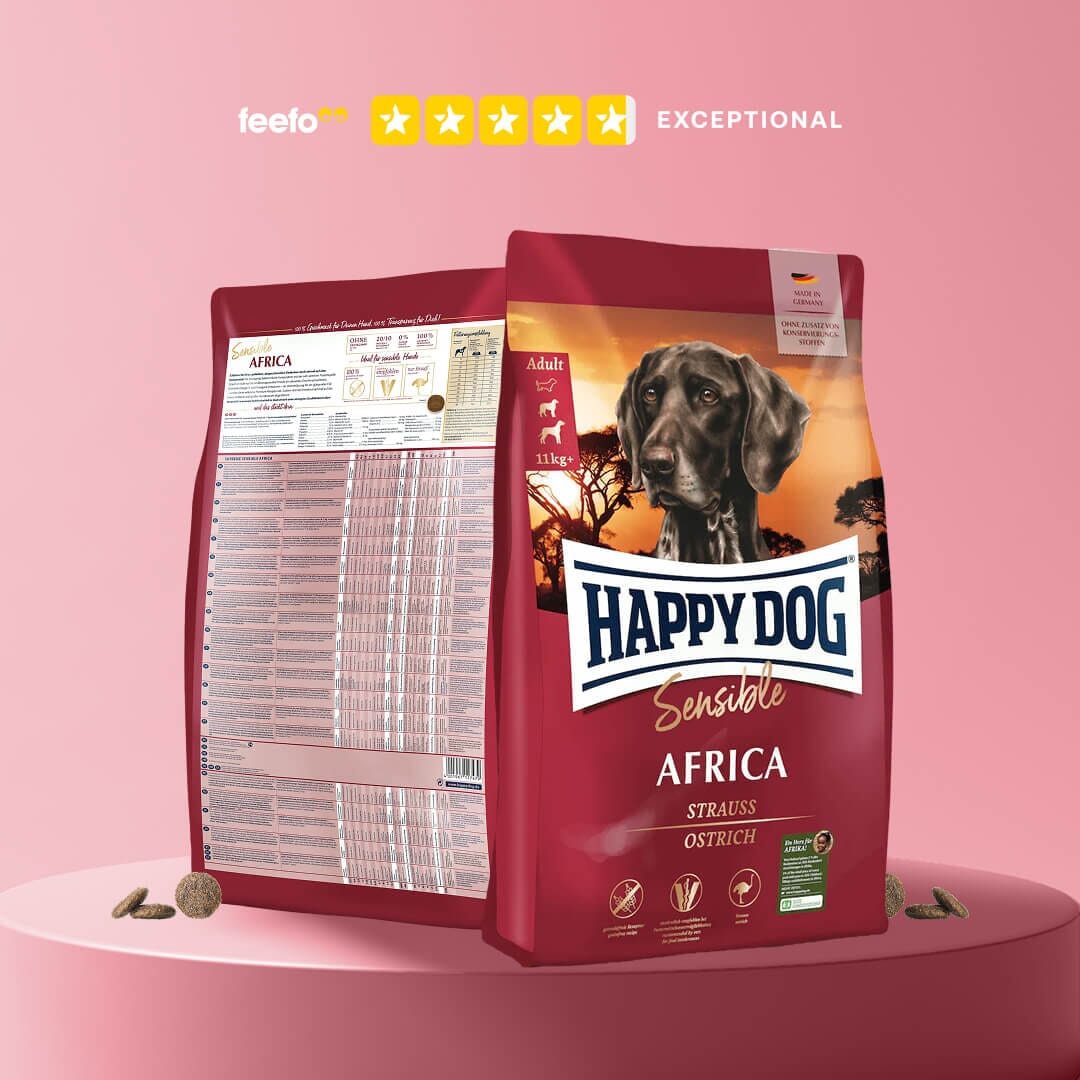 Africa - Chartley Chucks