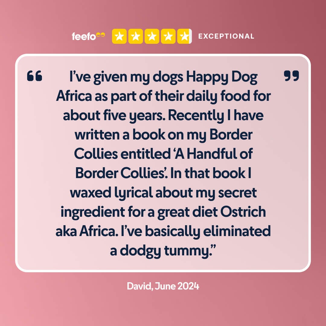 Africa - Chartley Chucks