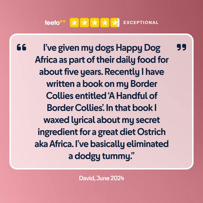 Africa - Chartley Chucks