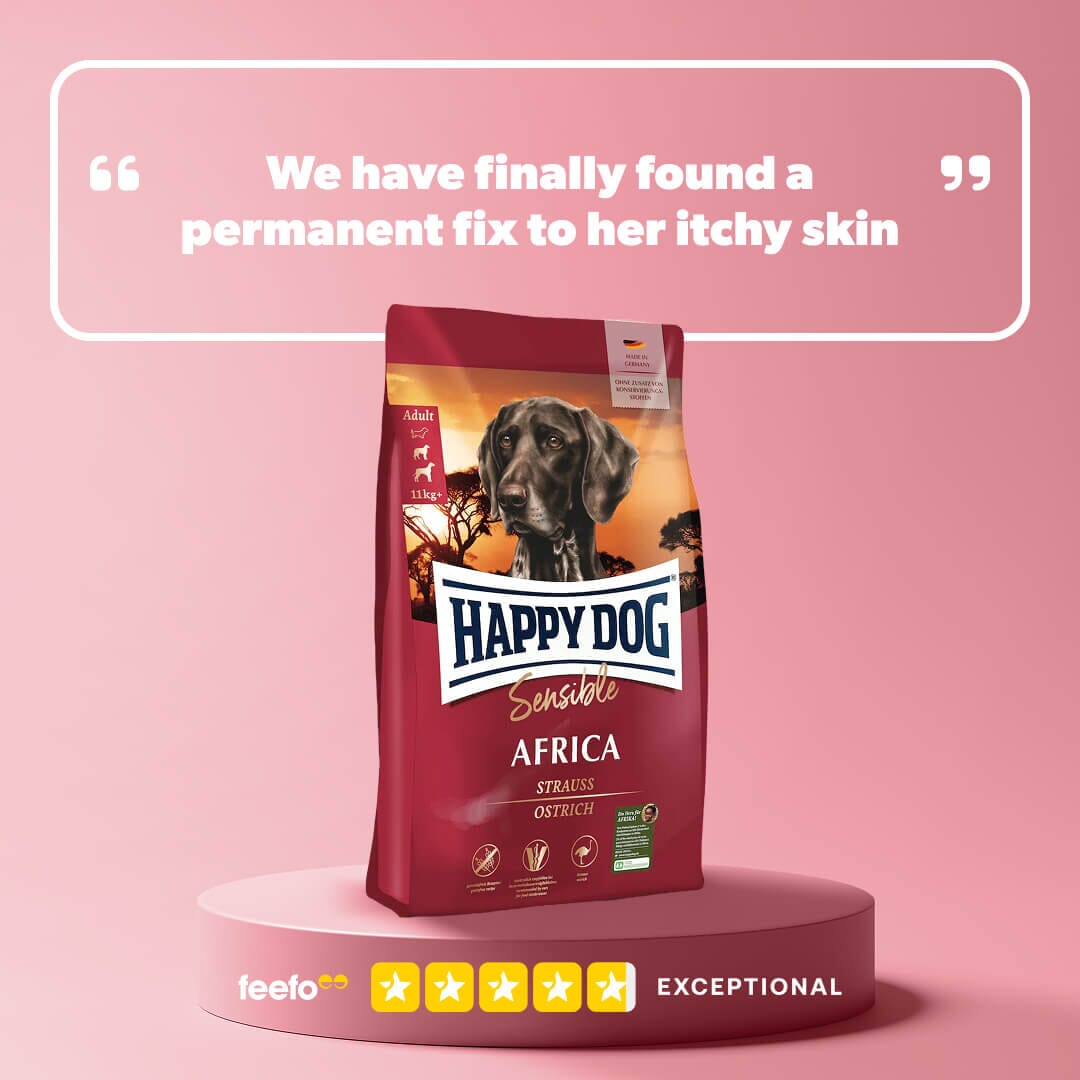 Africa - Chartley Chucks