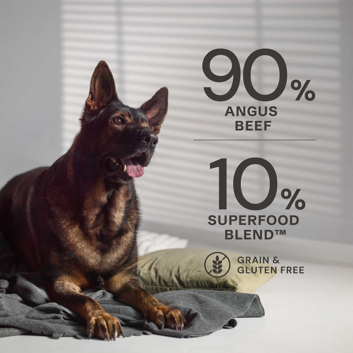 Angus Beef Wet Dog Food - Chartley Chucks