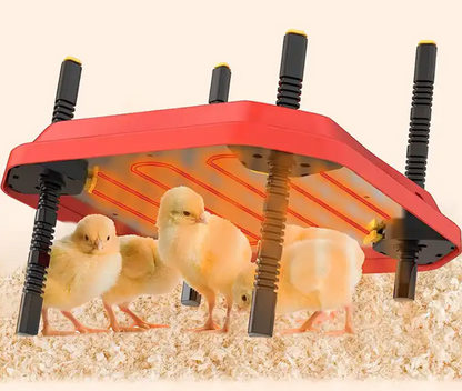 Extra Large Brooder Heating Plate (66W 40.7cmx61cm)