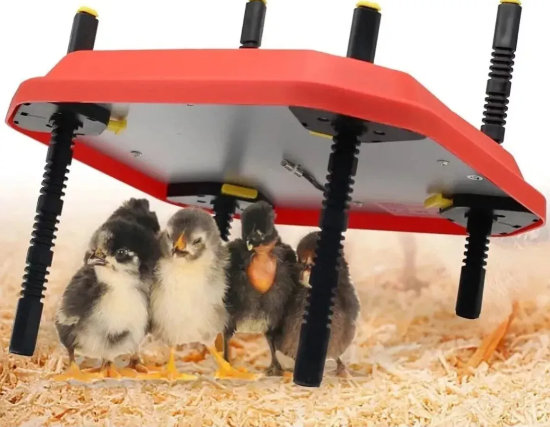 Extra Large Brooder Heating Plate (66W 40.7cmx61cm)