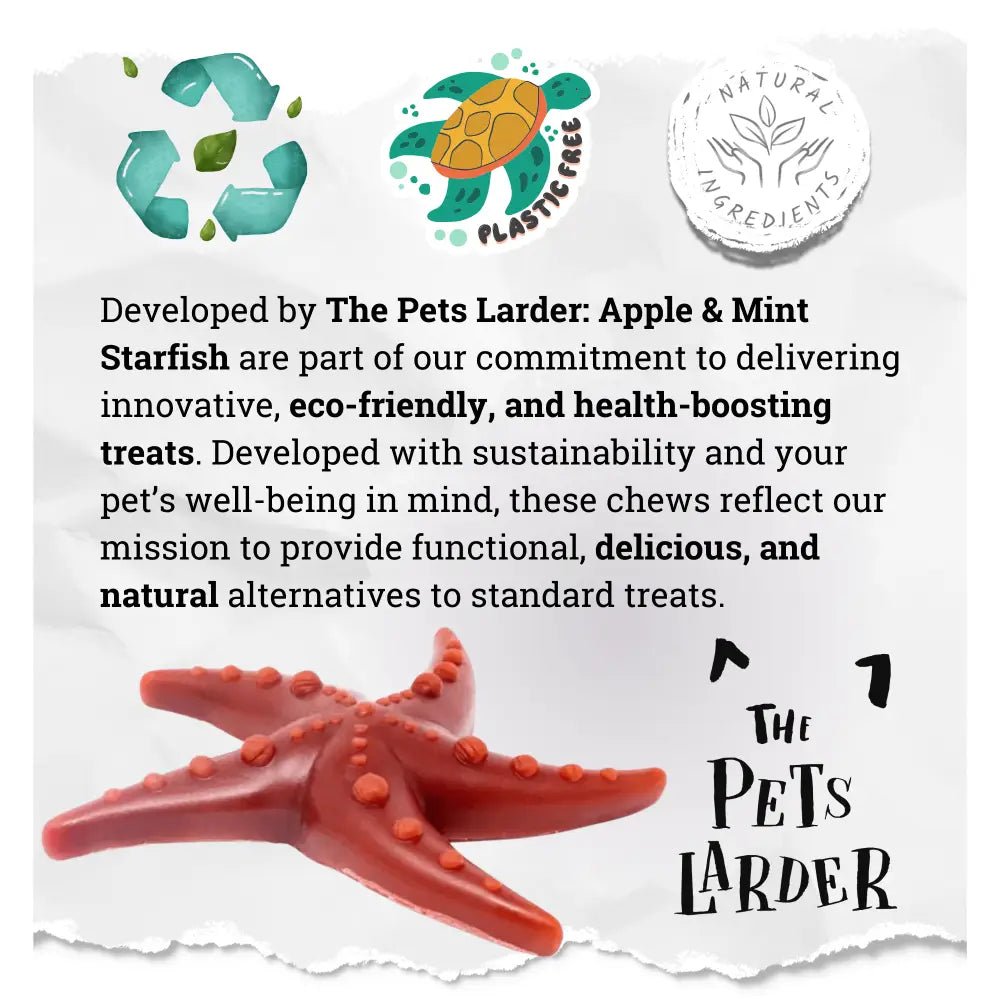 Apple & Mint Starfish - Chartley Chucks
