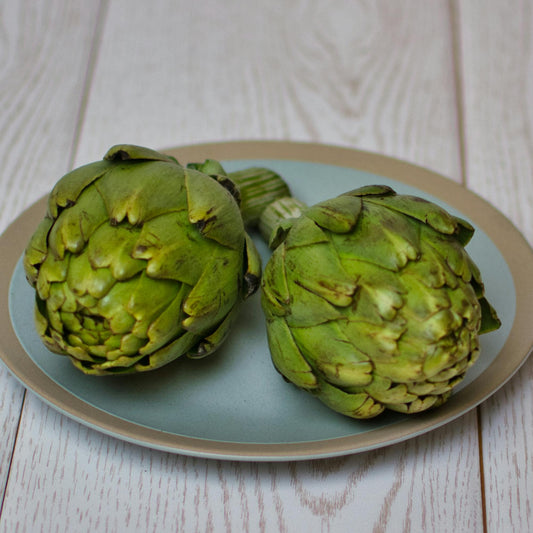 Artichoke Plug Plants "Grow Your Own" Vegetables 'Ready to Plant Now' Young Vegetable Plants **Letterbox Friendly** - Chartley Chucks