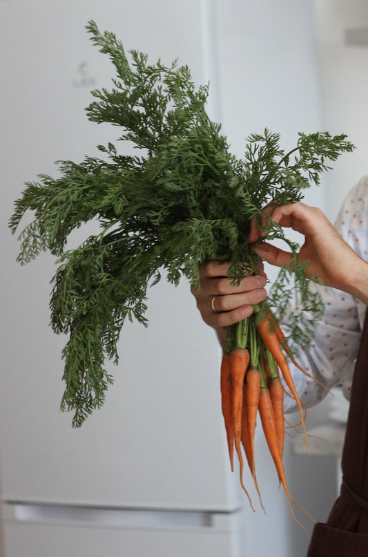 Baby Carrot Plug Plants "Grow Your Own" Vegetables **Letterbox Friendly** - Chartley Chucks