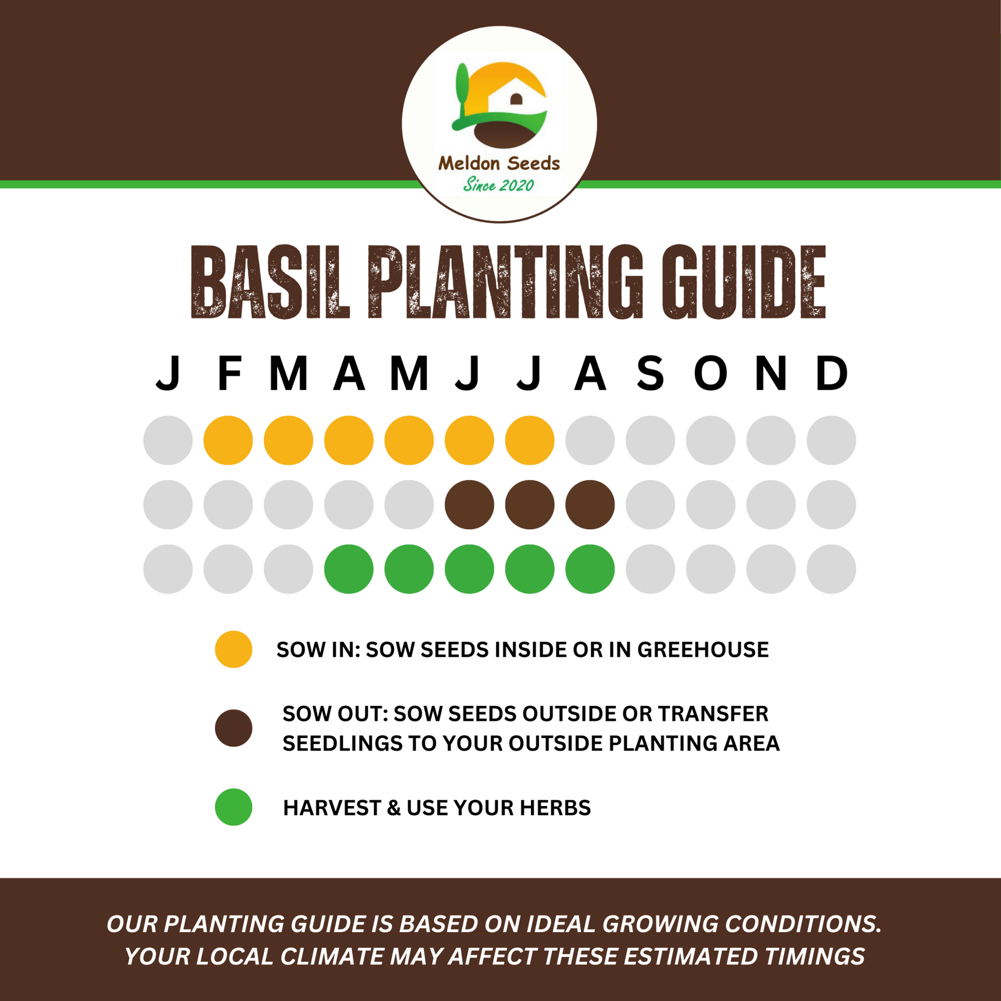 Basil British 100 Seeds - Chartley Chucks