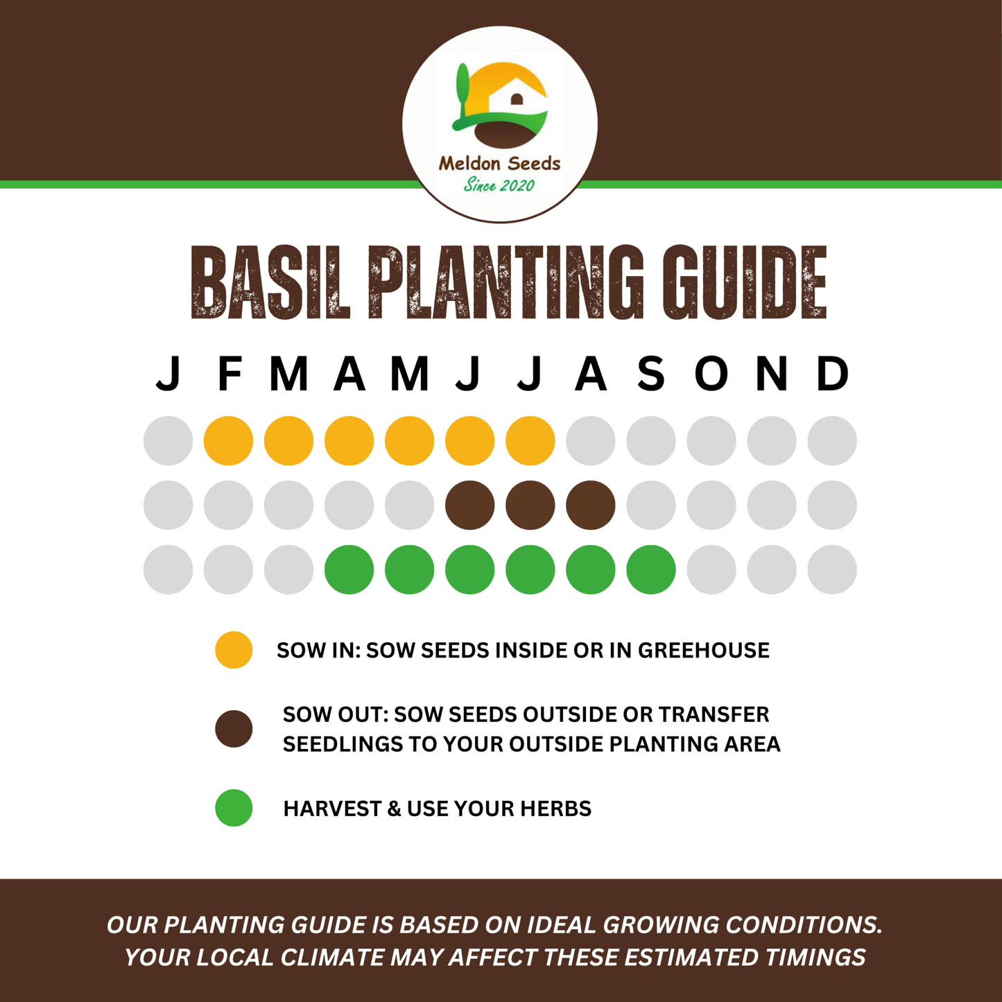 Basil Classic Italian 500 Seeds - Chartley Chucks