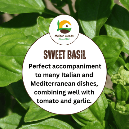 Basil Classic Italian 500 Seeds - Chartley Chucks