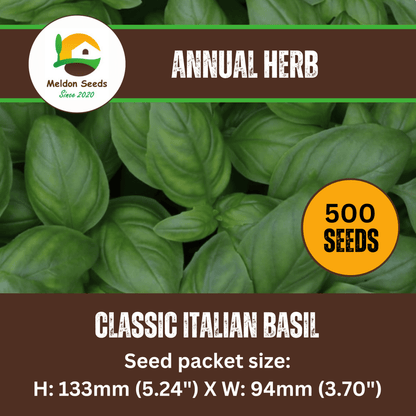 Basil Classic Italian 500 Seeds - Chartley Chucks
