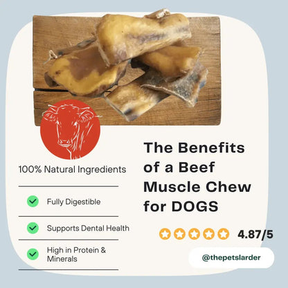 Beef Muscle Chew Natural Meat Chew For Dogs - Chartley Chucks