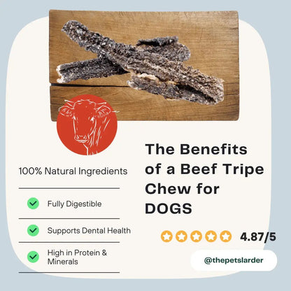 Beef Tripe Chew Natural Meat Chew For Dogs - Chartley Chucks