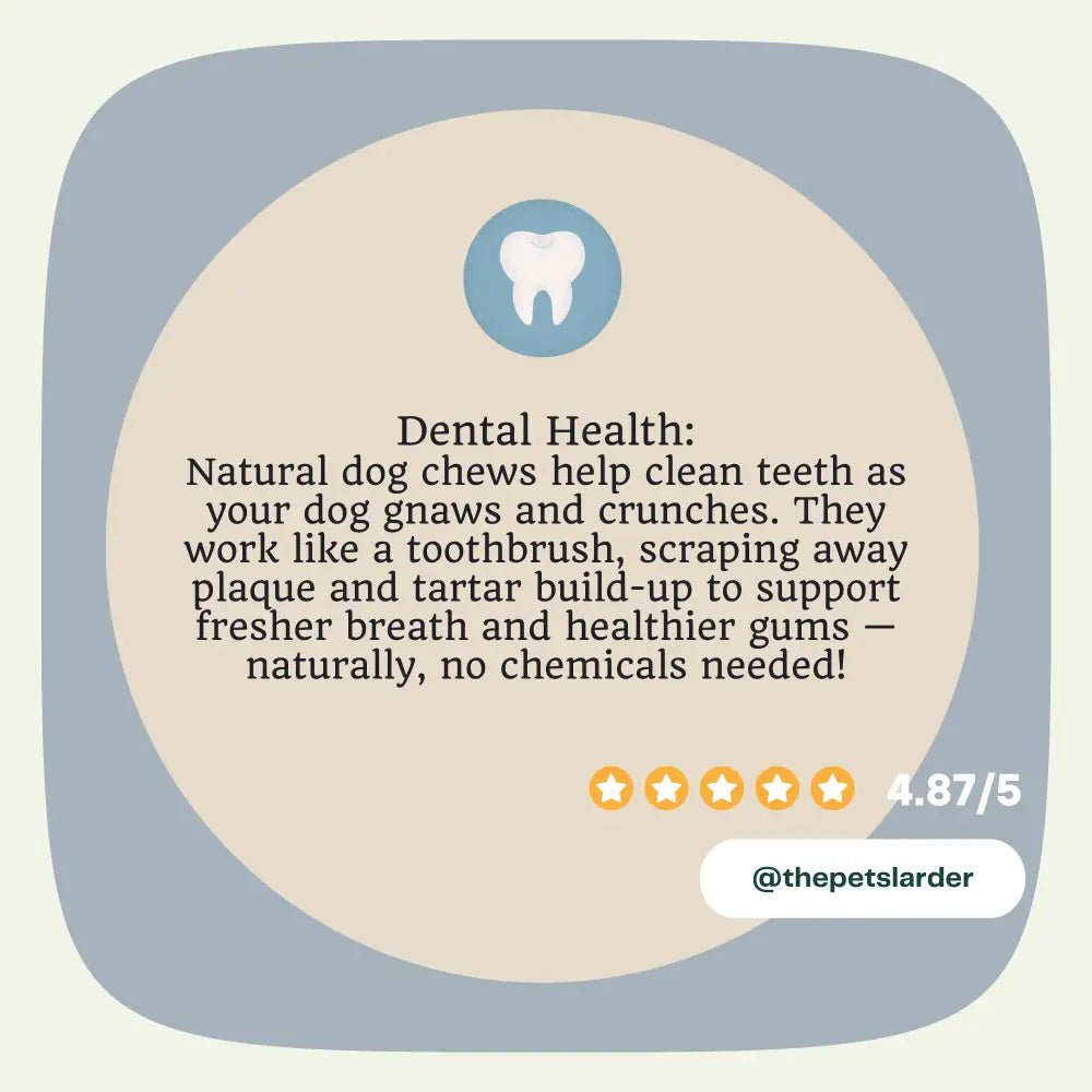 Beef Tripe Chew Natural Meat Chew For Dogs - Chartley Chucks