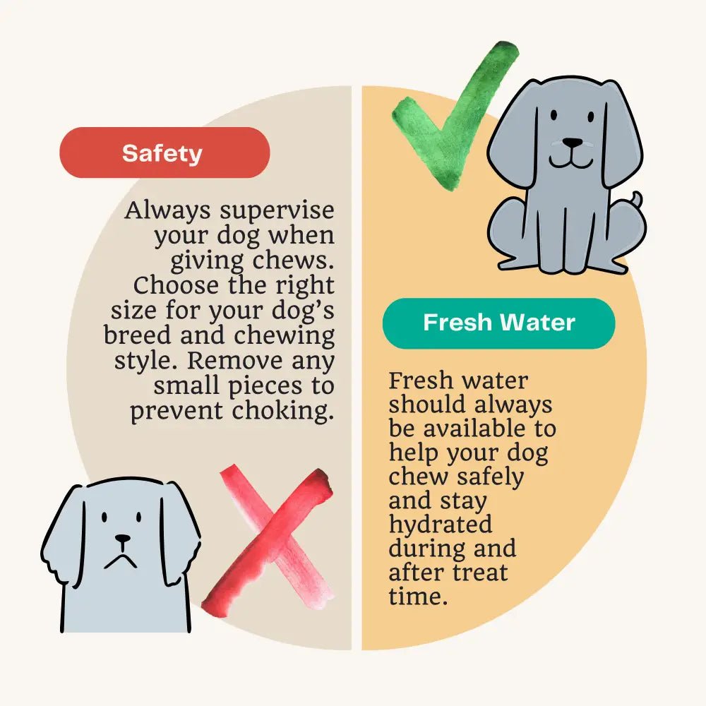 Beef Tripe Chew Natural Meat Chew For Dogs - Chartley Chucks