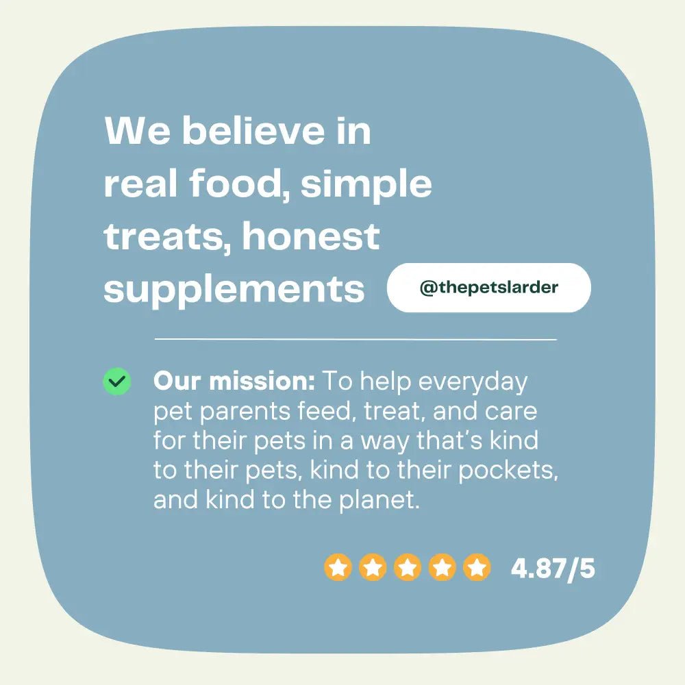 Beef Tripe Chew Natural Meat Chew For Dogs - Chartley Chucks