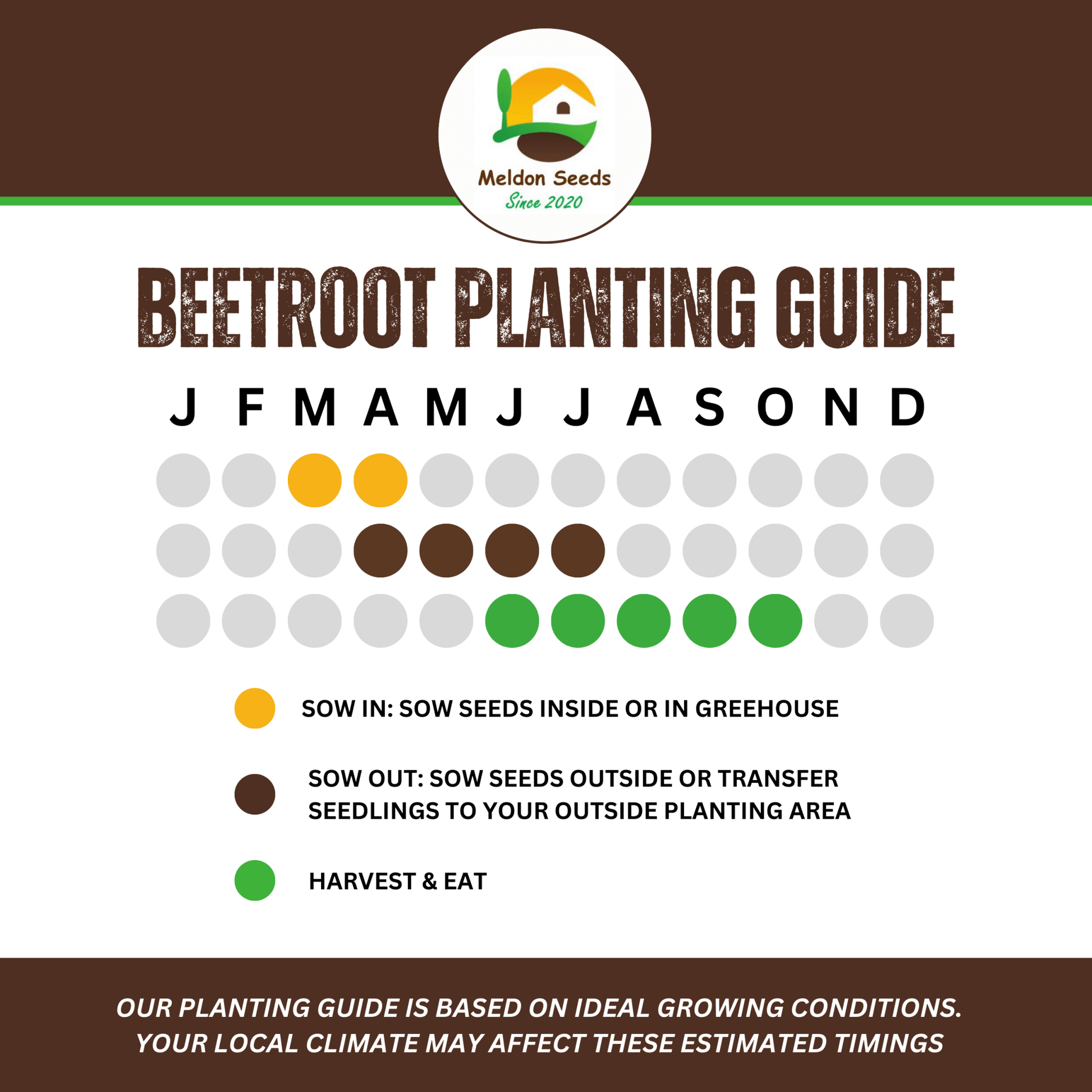 Beetroot Detroit 200 Seeds by Meldon Seeds - Chartley Chucks