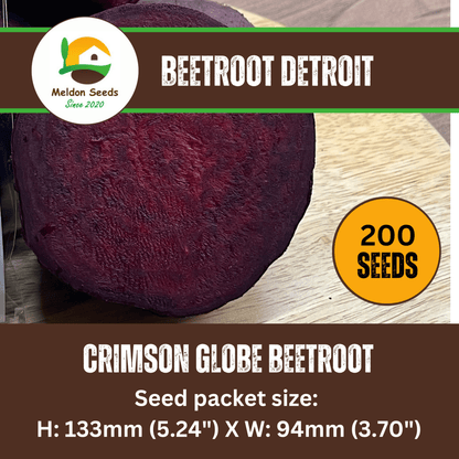 Beetroot Detroit 200 Seeds by Meldon Seeds - Chartley Chucks