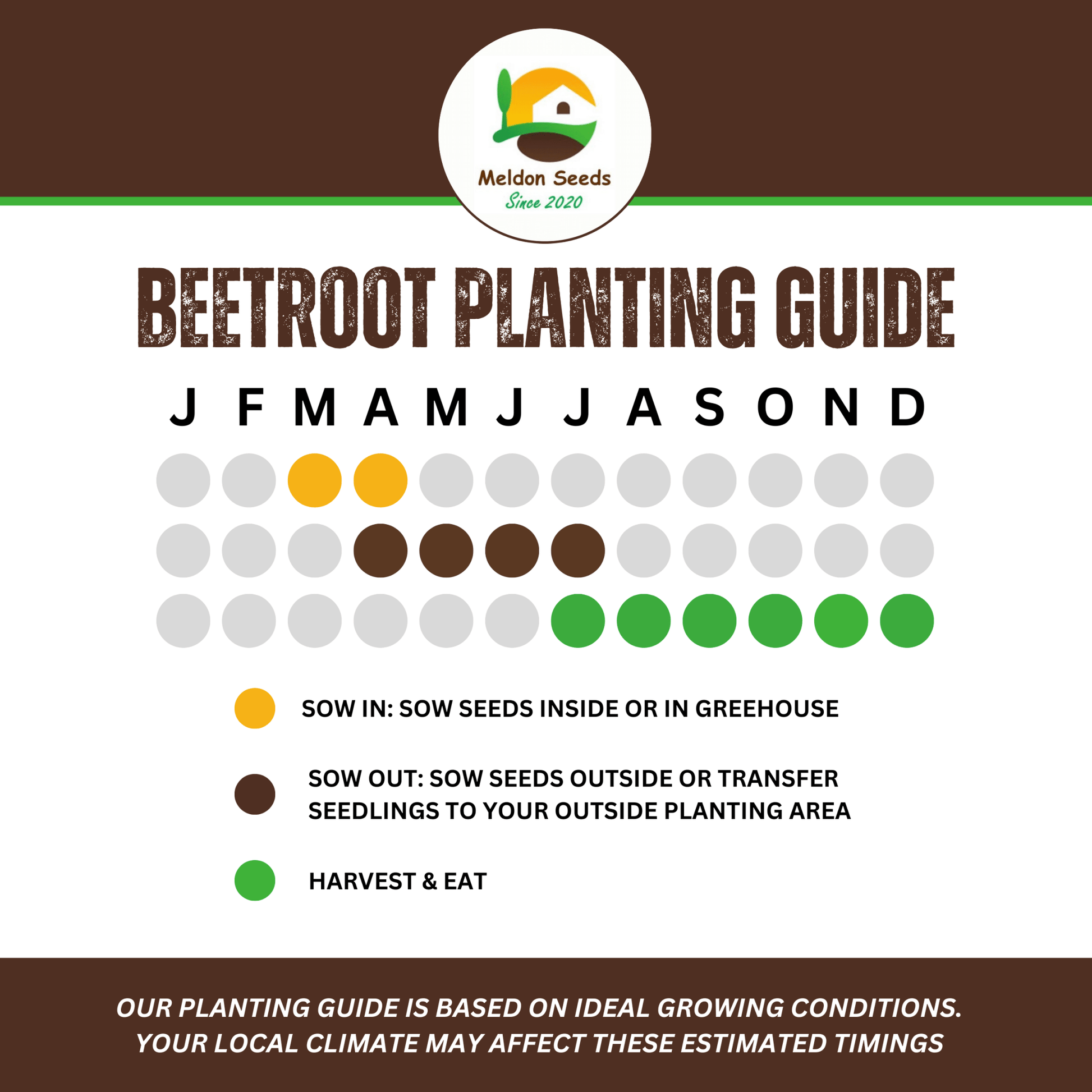 Beetroot Seeds - 200 Bona Beetroot Seeds – Plant and Grow Your Own Vegetables for Gardens, Pots & Allotments – Suitable for Indoor & Outdoor Planting – Packed in The UK by Meldon Seeds - Chartley Chucks