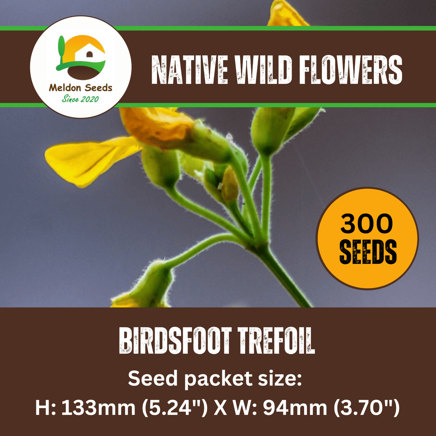 Birdsfoot Trefoil Seeds - 300 Native UK Wild Flower Seeds for Attracting Birds, Bees, Wildlife, Pollinators, Suitable for Planting and Growing Outdoors in Meadows, Fields and Gardens by Meldon Seeds - Chartley Chucks