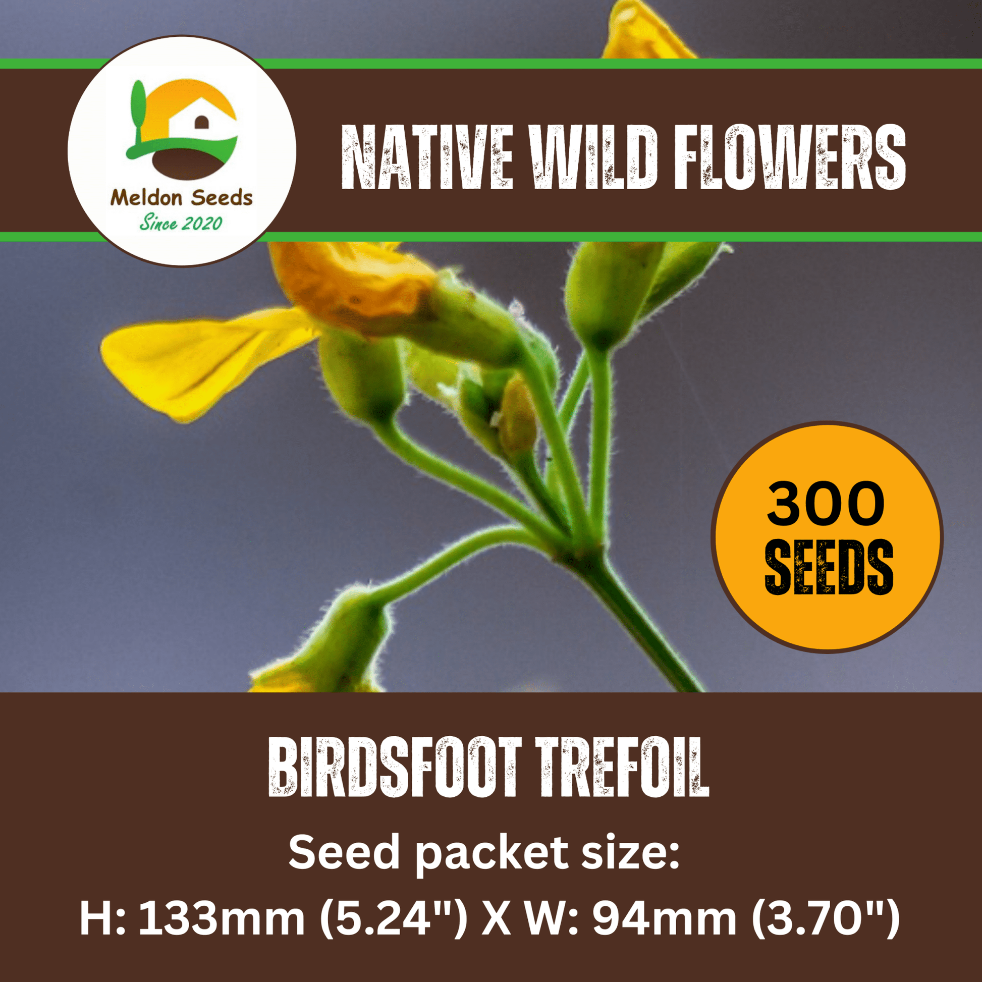 Birdsfoot Trefoil Seeds - 300 Native UK Wild Flower Seeds for Attracting Birds, Bees, Wildlife, Pollinators, Suitable for Planting and Growing Outdoors in Meadows, Fields and Gardens by Meldon Seeds - Chartley Chucks