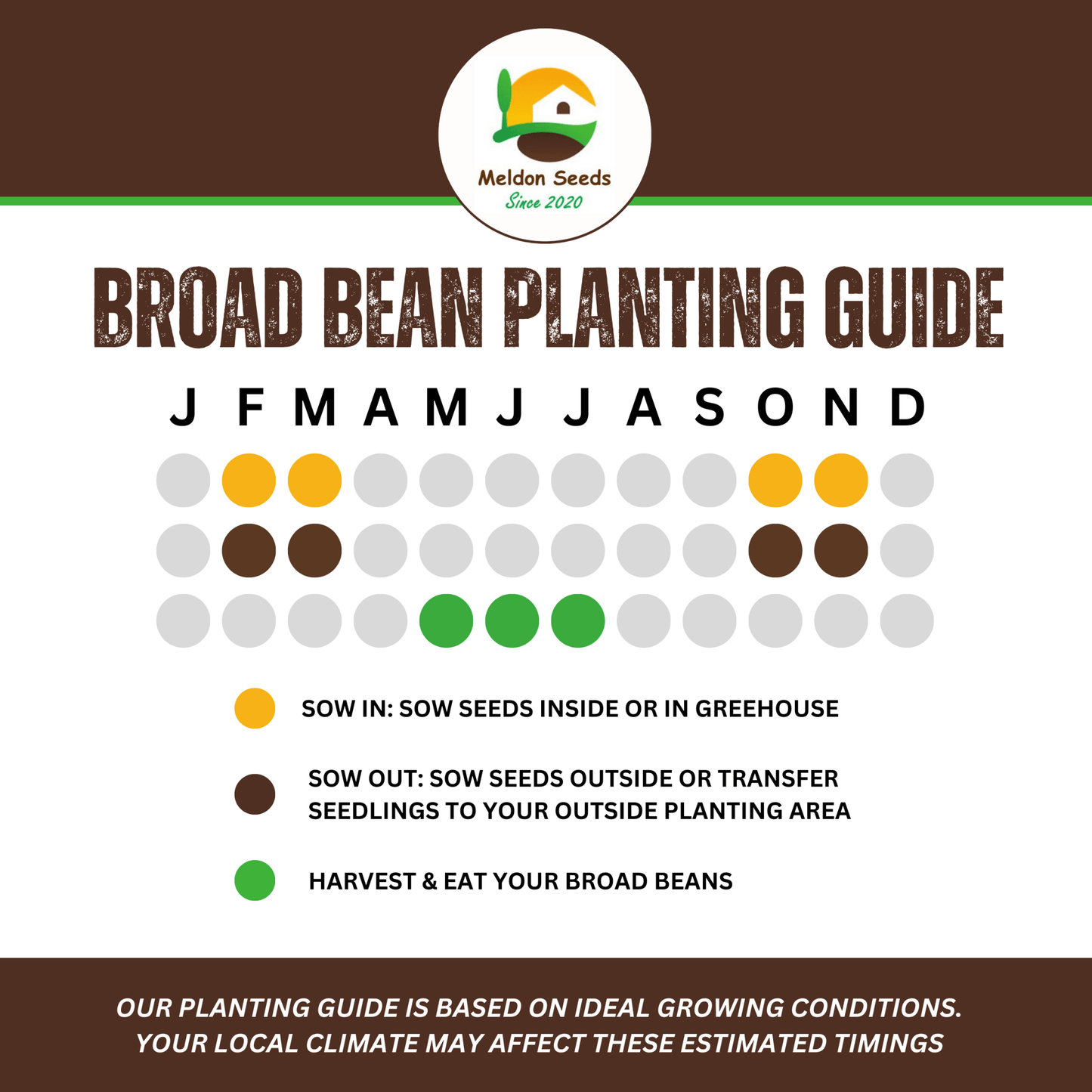 Broad Bean Aquadulce Claudia 45 Seeds - Chartley Chucks