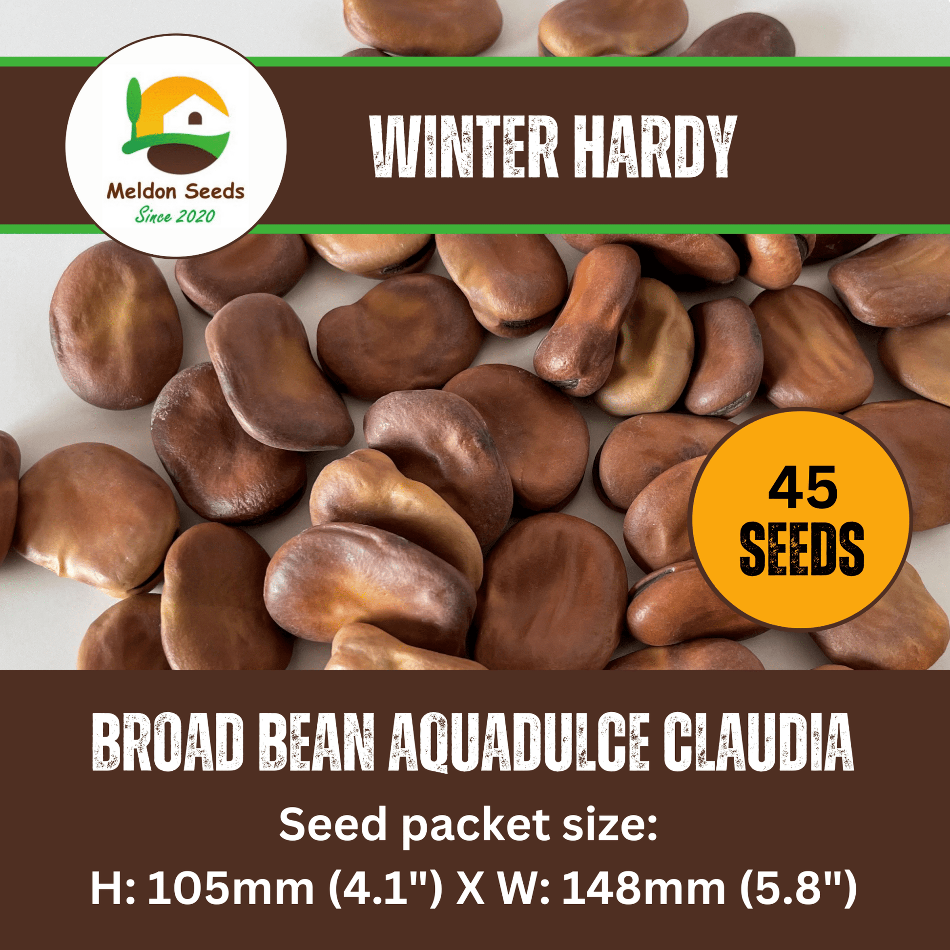 Broad Bean Aquadulce Claudia 45 Seeds - Chartley Chucks