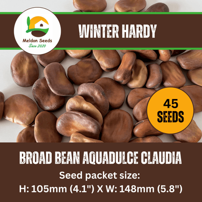 Broad Bean Aquadulce Claudia 45 Seeds - Chartley Chucks