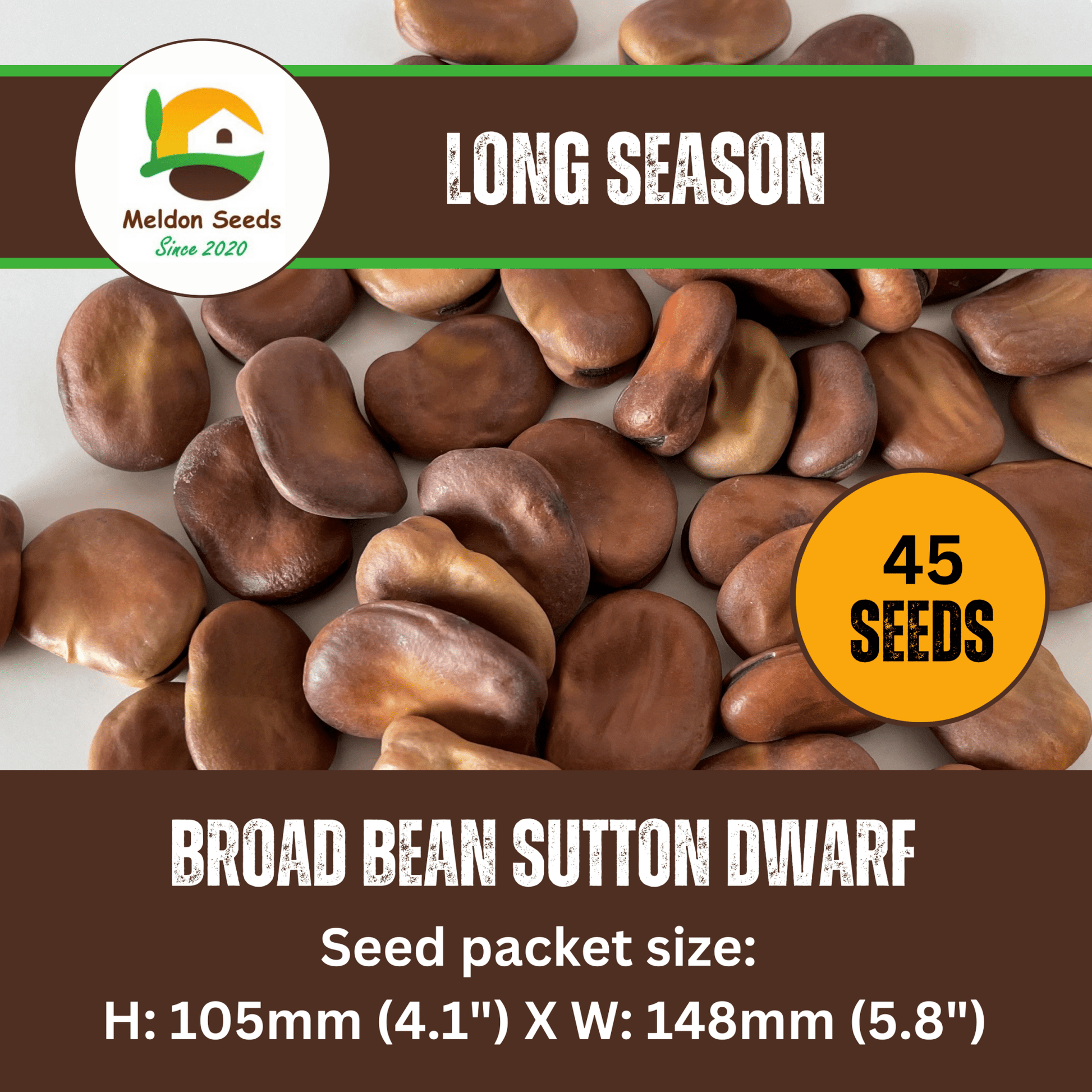 Broad Bean Sutton Dwarf 45 Seeds - Chartley Chucks