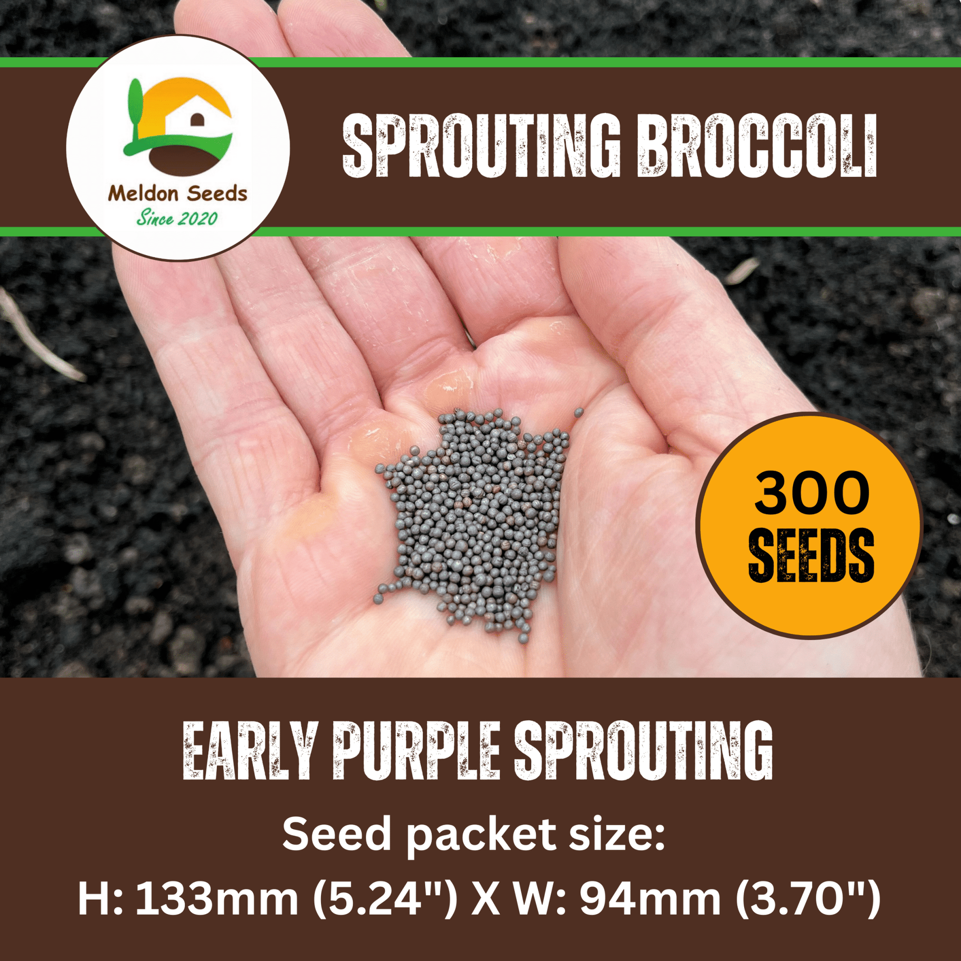 Broccoli Seeds Early Purple Sprouting 300 Fresh Seeds Winter Hardy Vegetable - Chartley Chucks