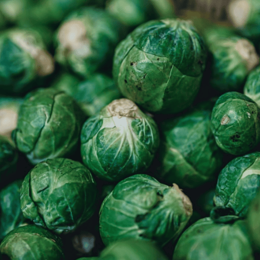 Brussels Sprout Evesham Special 450 Seeds - Chartley Chucks